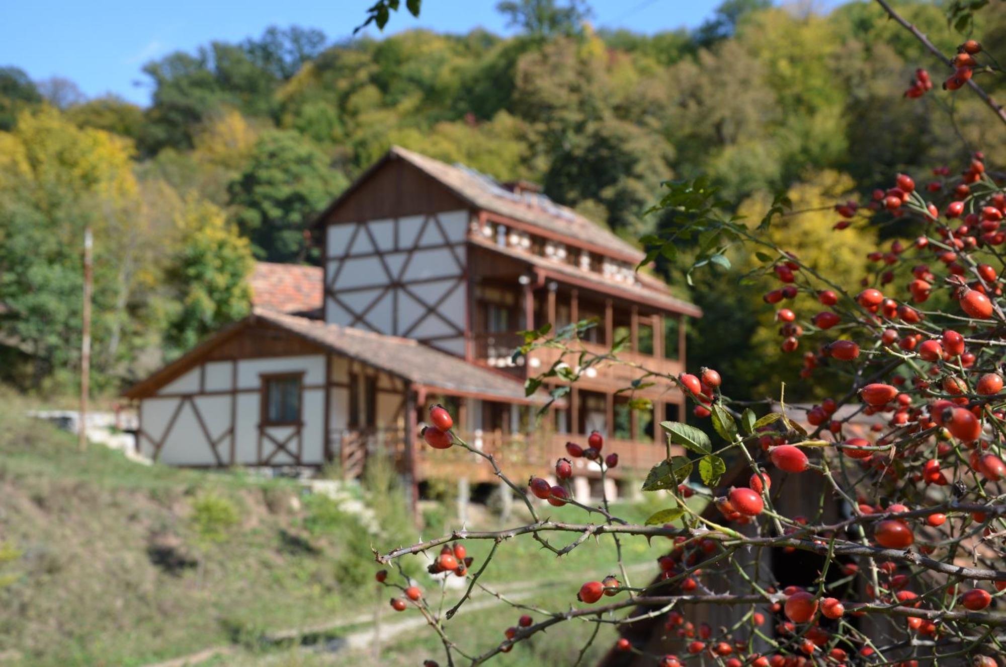 Ecokayan Dilijan Resort Hotel Esterno foto