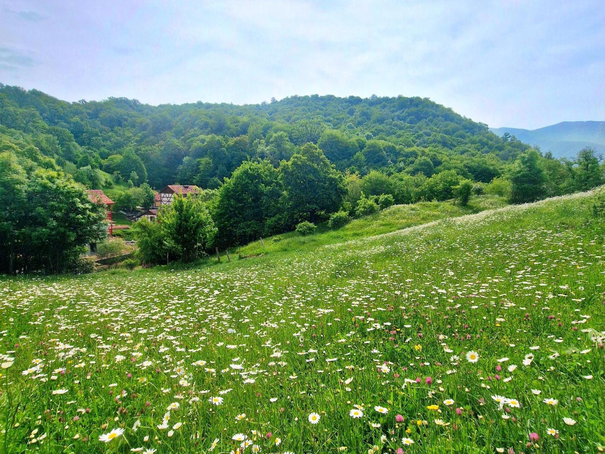 Ecokayan Dilijan Resort Hotel Esterno foto