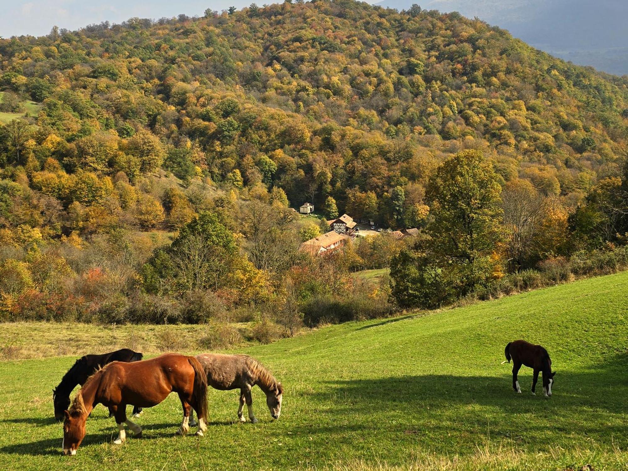 Ecokayan Dilijan Resort Hotel Esterno foto