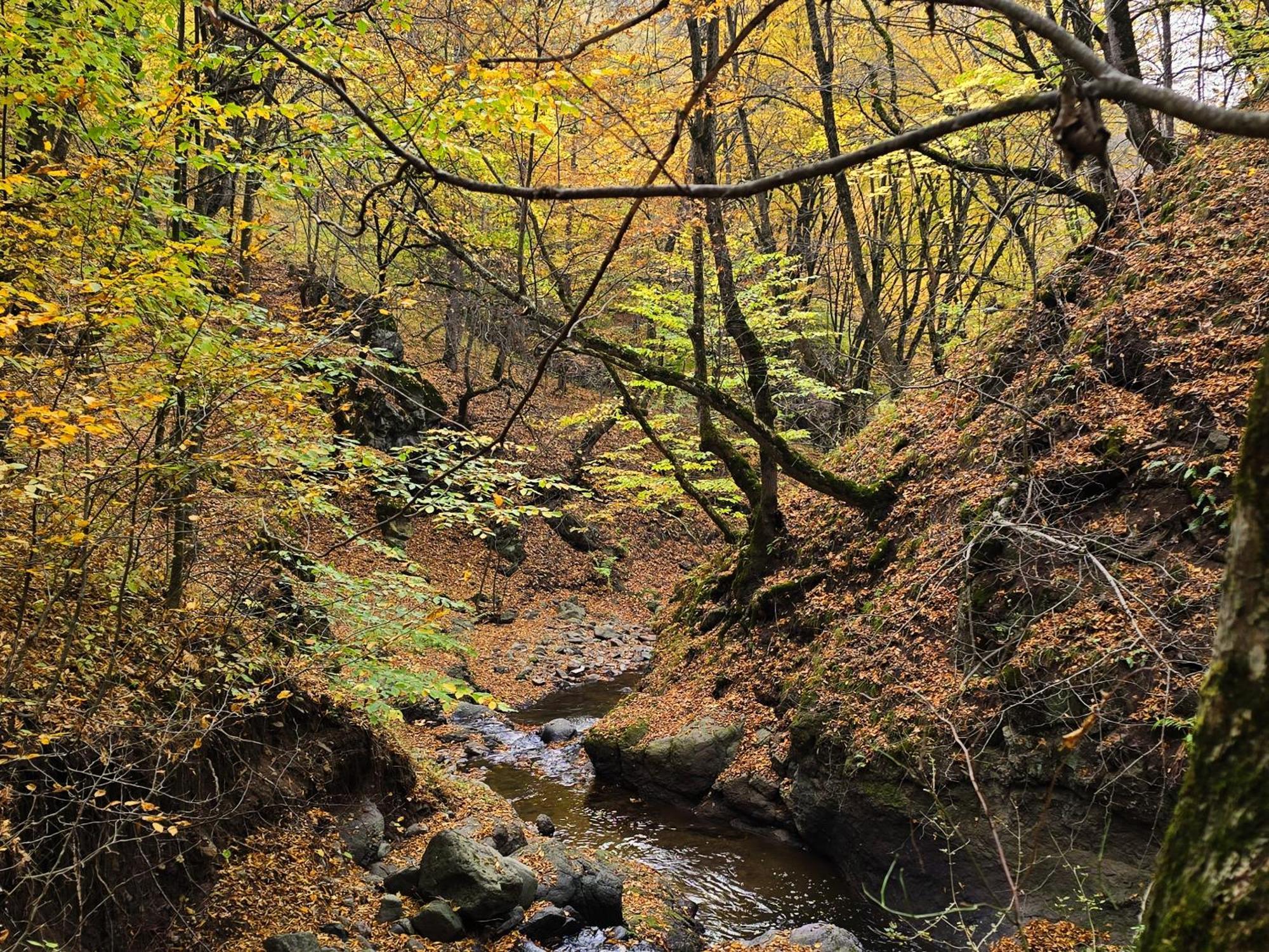 Ecokayan Dilijan Resort Hotel Esterno foto